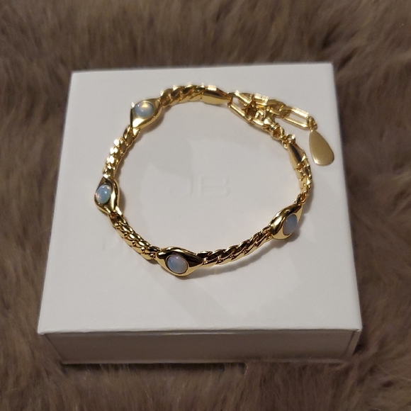 Jenny Bird Jewelry - Jenny Bird Gold Link Bracelet with Opalescent Accents